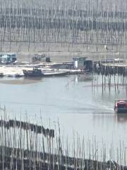 霞浦沙江村S彎攝影基地