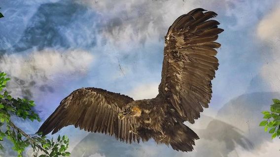 China Melmeg Wetland Museum