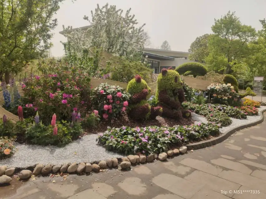 4_Binjiang Forest Park - Phase II