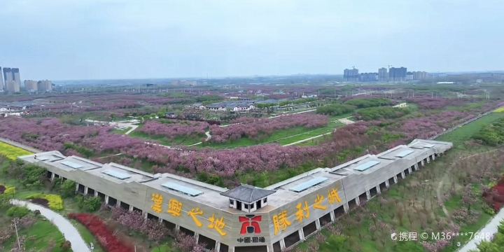 Guzhen Cherry Blossom Garden