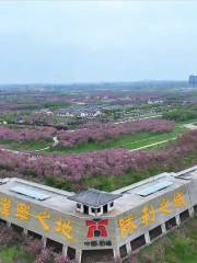 Guzhen Sakura Garden