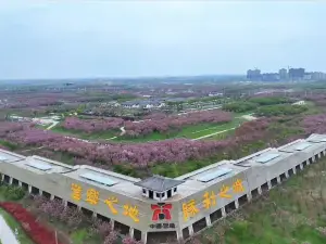 Guzhen Cherry Blossom Garden