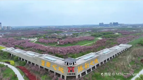 固鎮櫻花園