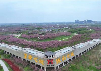 Guzhen Sakura Garden