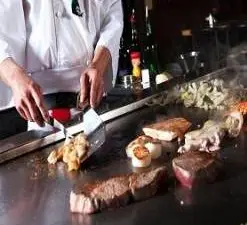 Fujiyama Steakhouse of Japan