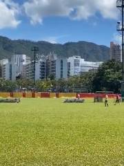 Mong Kok Stadium