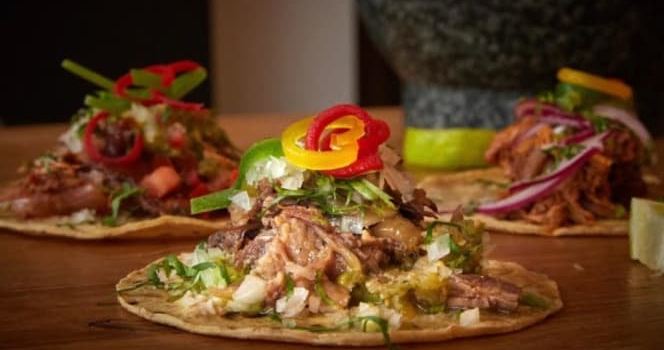 TACO CAT & CEVICHE BAR