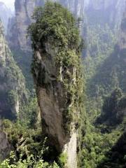 Wulang Worshiping Buddha Scenic Spot, Zhangjiajie