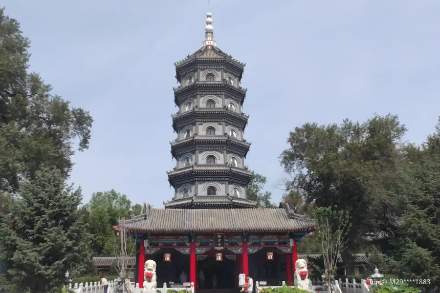 Buddha Pagoda