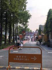 浙農·東巢藝術公園