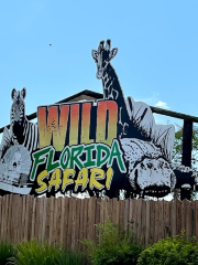 Wild Florida Safari