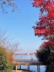 Donghu Wetland Park