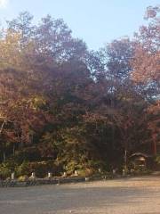 Haijima Park