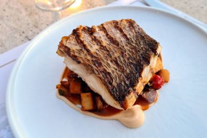 Metropolis Roof Garden