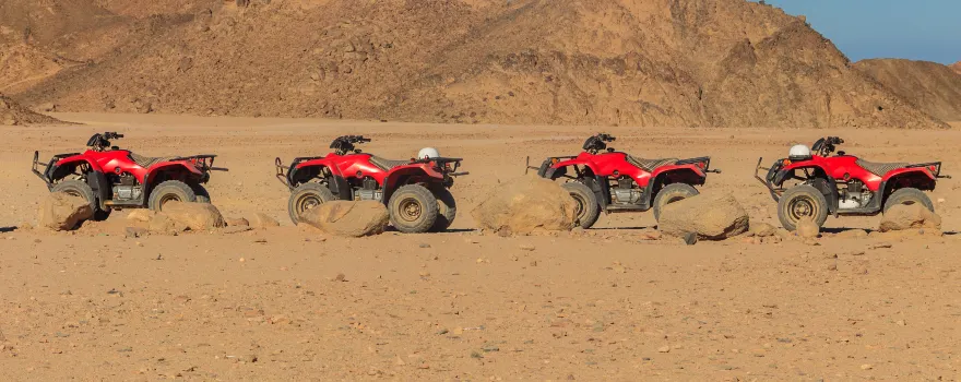 Desert Adventure Safari