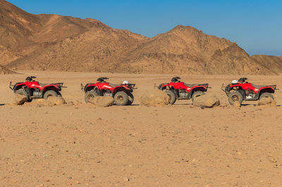 Desert Adventure Safari