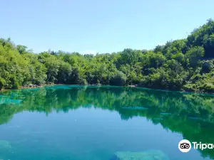 Riserva Naturale Regionale Lago di Cornino