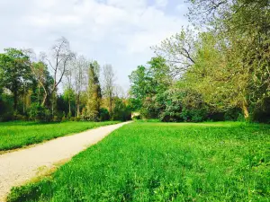 Arboretum Park Simeria