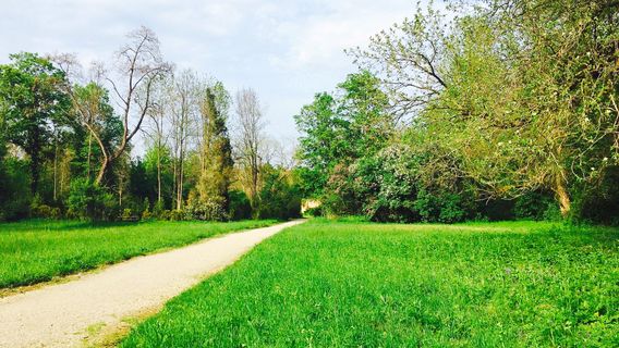 Arboretum Park Simeria