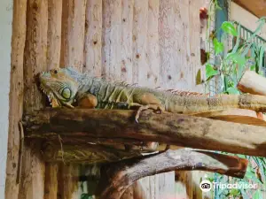 Zoo Aschersleben