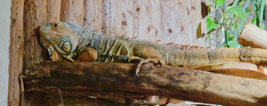 Zoo Aschersleben