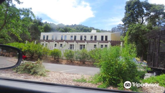 Montalvo Arts Center