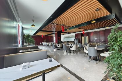 普兰平措康桑富氧酒店·餐厅