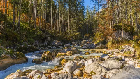 Magic Forest attraction in Bavaria