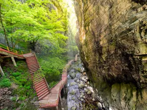 National Forest Park of Niubeiliang Shanxi