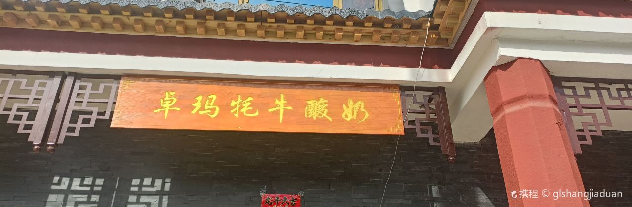 卓玛牦牛酸奶