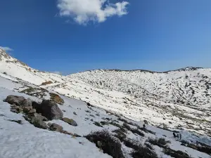 Tikjda