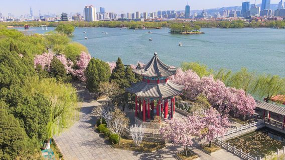 Jinan Lake Cruise in Jinan