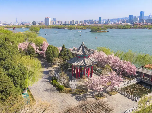 Jinan Lake Cruise in Jinan