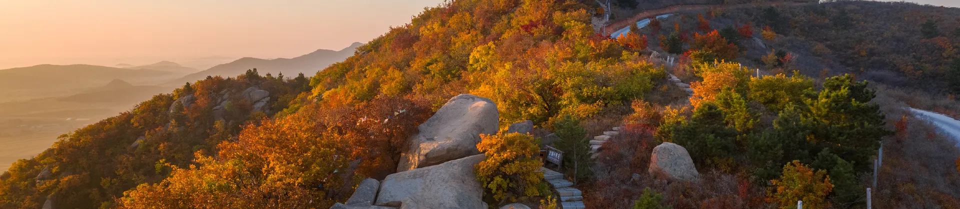 Fall Viewing Attractions