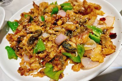 YI GE CHI LENG SHUI YU DE DI FANG