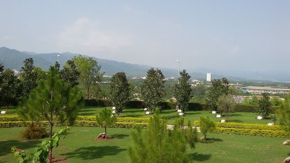 Rose And Jasmine Garden