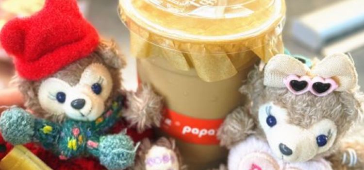 papa bear·cafe