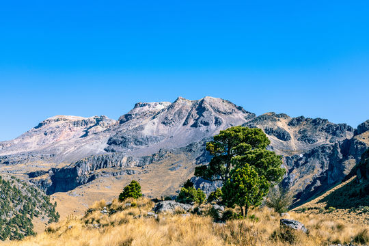 Parque Nacional Iztaccíhuatl - Popocatépetl