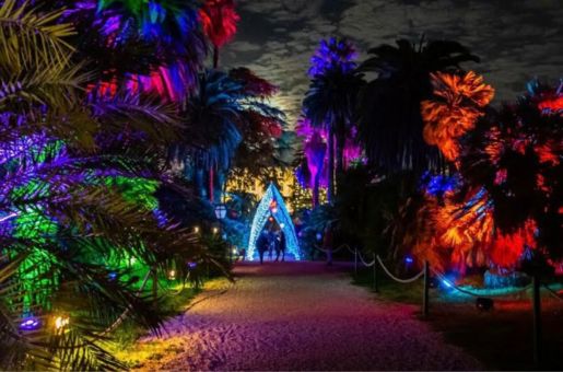 TRAME DI LUCE ROMA | Rome