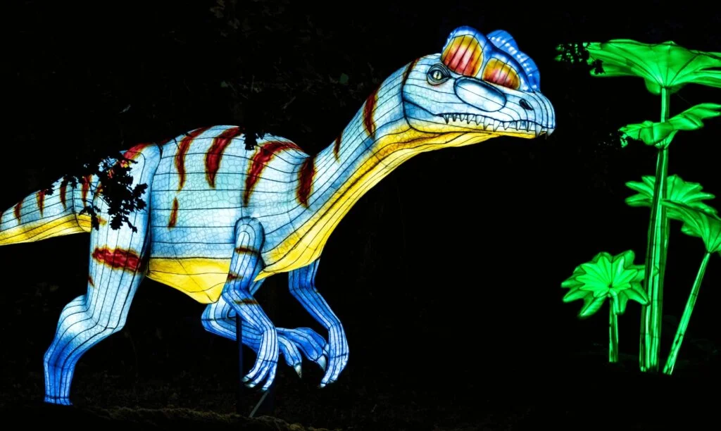 Wild Lights | Vila Nova de Gaia