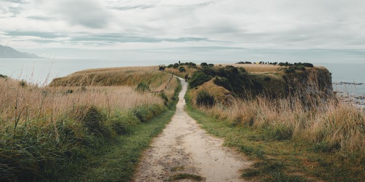 Kaikoura Peninsula Walkway