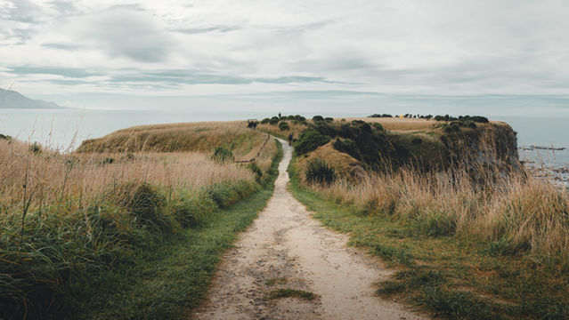 Kaikoura Peninsula Walkway