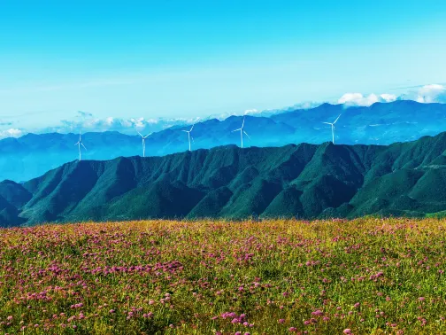 阿西里西韭菜坪
