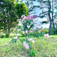 葛西臨海公園
