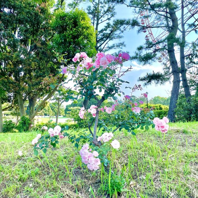 葛西臨海公園