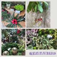 【 充滿兒時回憶的公園 】香港公園