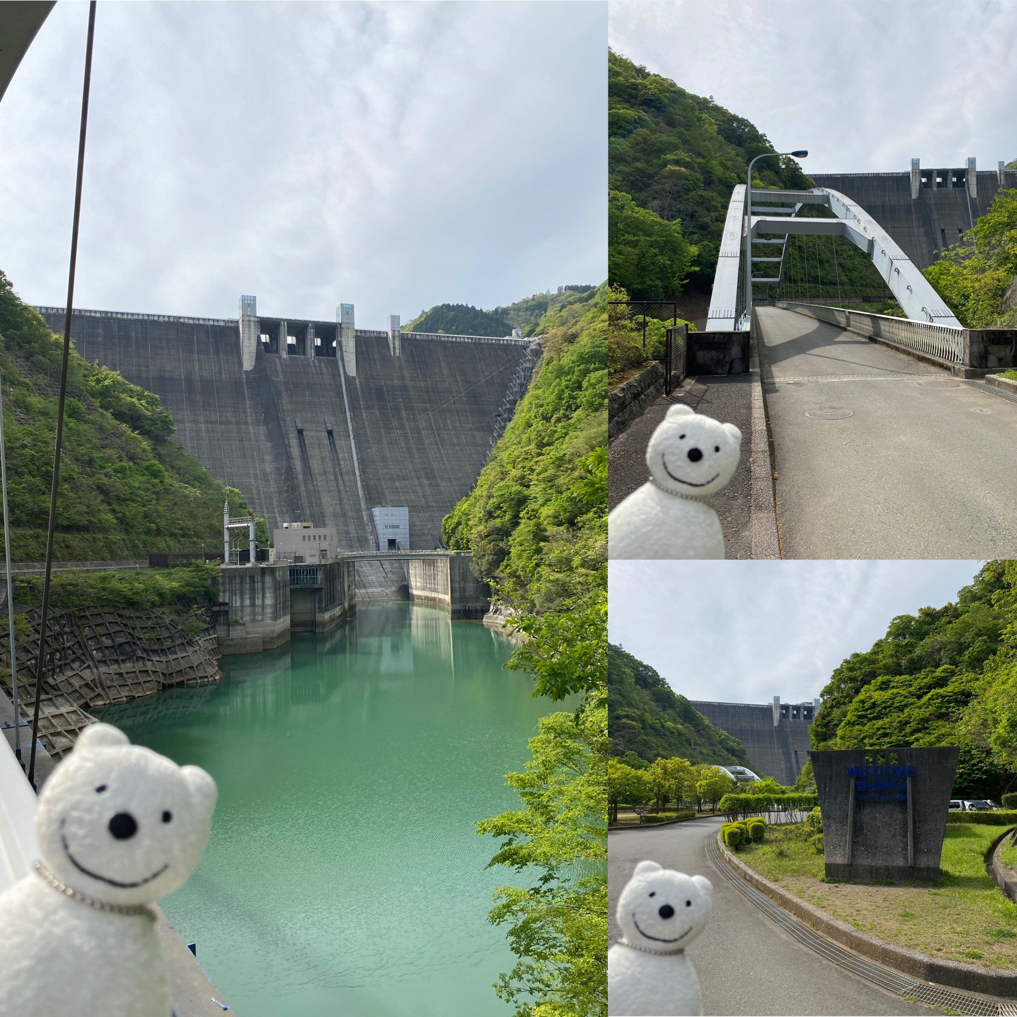 クマ散歩：宮ヶ瀬ダムに品行方正なクマ出没 | Trip.com 愛川町