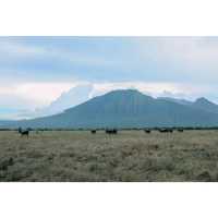 Baluran Savanna