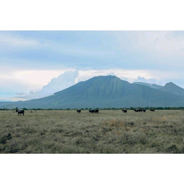 Baluran Savanna