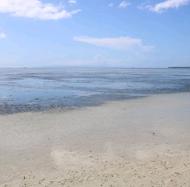 Sandbar at Virgin Island Bohol
